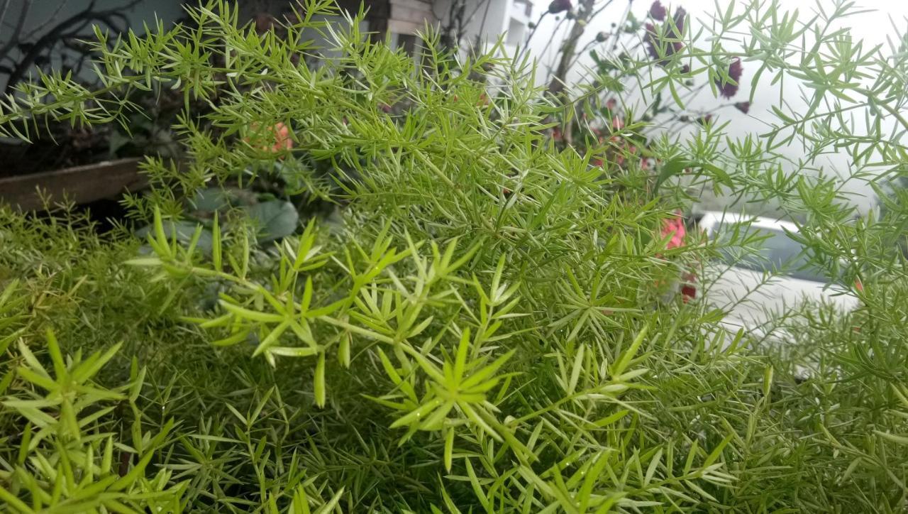 Ezhil Residency Hotel Kodaikanal Exterior photo